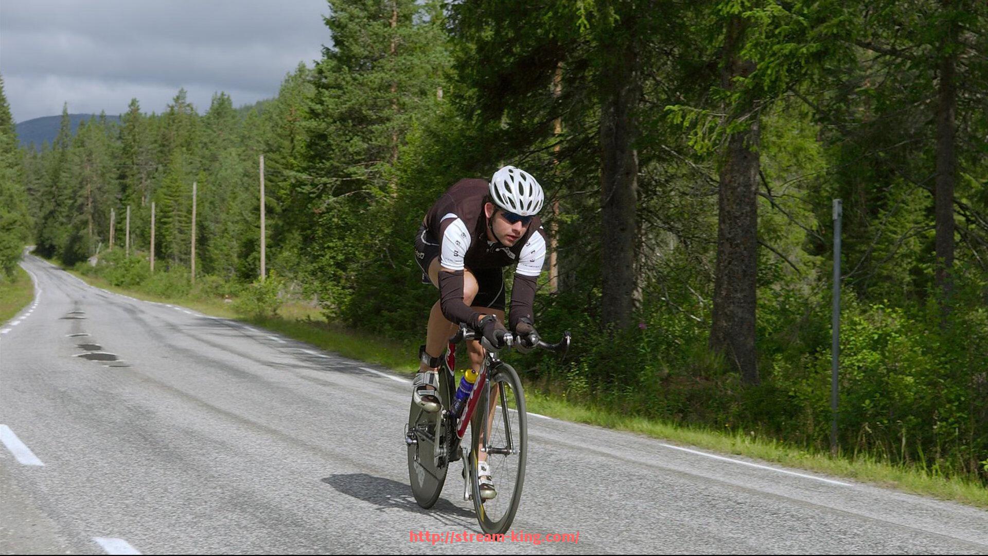 王者体育直播-世俱杯赞助权益优化方案的研究与实务应用